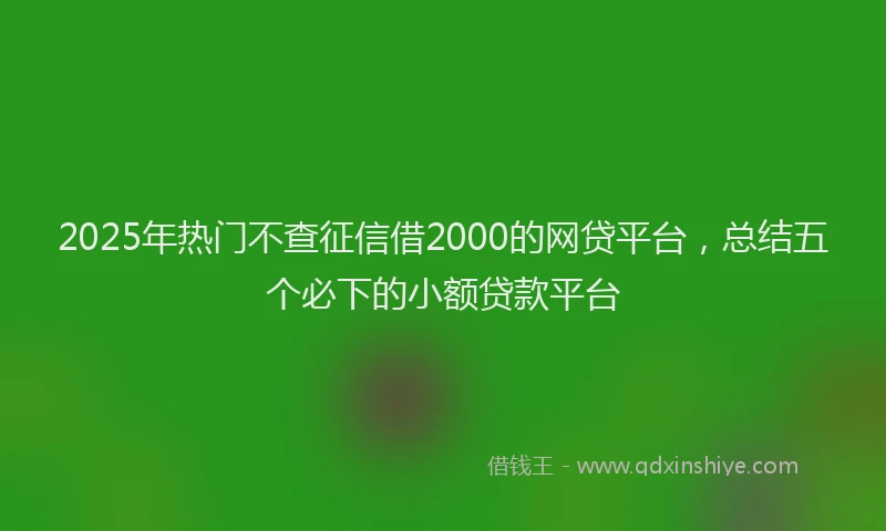 2025年热门不查征信借2000的网贷平台，总结五个必下的小额贷款平台