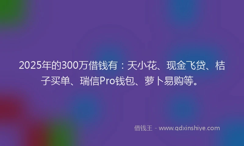 2025年的300万借钱有：天小花、现金飞贷、桔子买单、瑞信Pro钱包、萝卜易购等。