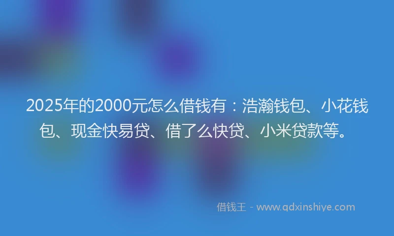 2025年的2000元怎么借钱有：浩瀚钱包、小花钱包、现金快易贷、借了么快贷、小米贷款等。