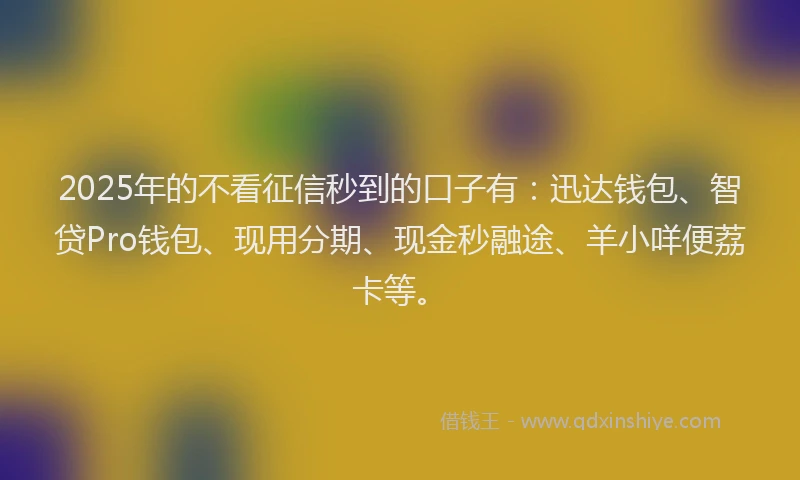 2025年的不看征信秒到的口子有：迅达钱包、智贷Pro钱包、现用分期、现金秒融途、羊小咩便荔卡等。