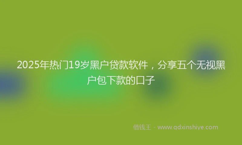 2025年热门19岁黑户贷款软件，分享五个无视黑户包下款的口子