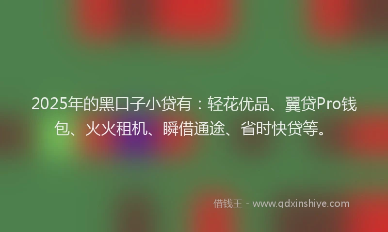 2025年的黑口子小贷有：轻花优品、翼贷Pro钱包、火火租机、瞬借通途、省时快贷等。