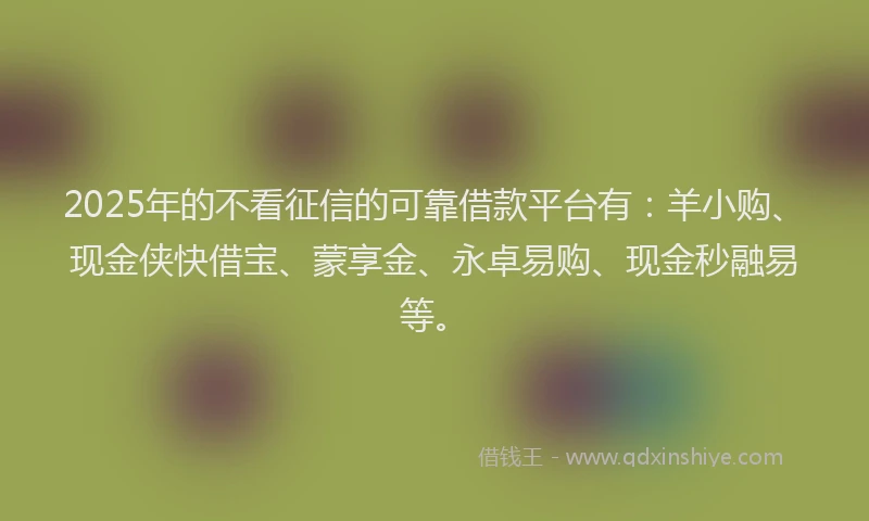 2025年的不看征信的可靠借款平台有：羊小购、现金侠快借宝、蒙享金、永卓易购、现金秒融易等。