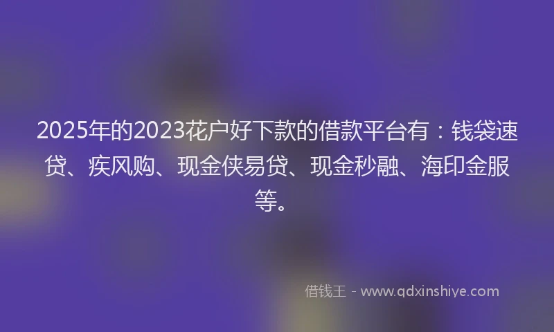 2025年的2023花户好下款的借款平台有：钱袋速贷、疾风购、现金侠易贷、现金秒融、海印金服等。