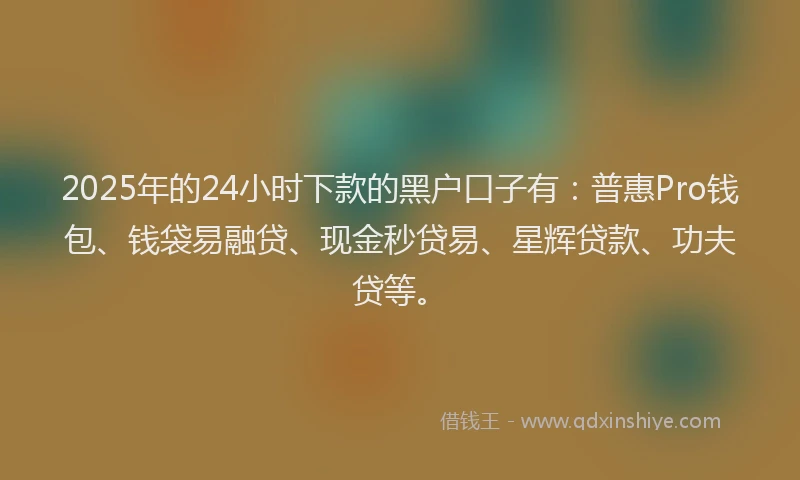 2025年的24小时下款的黑户口子有：普惠Pro钱包、钱袋易融贷、现金秒贷易、星辉贷款、功夫贷等。