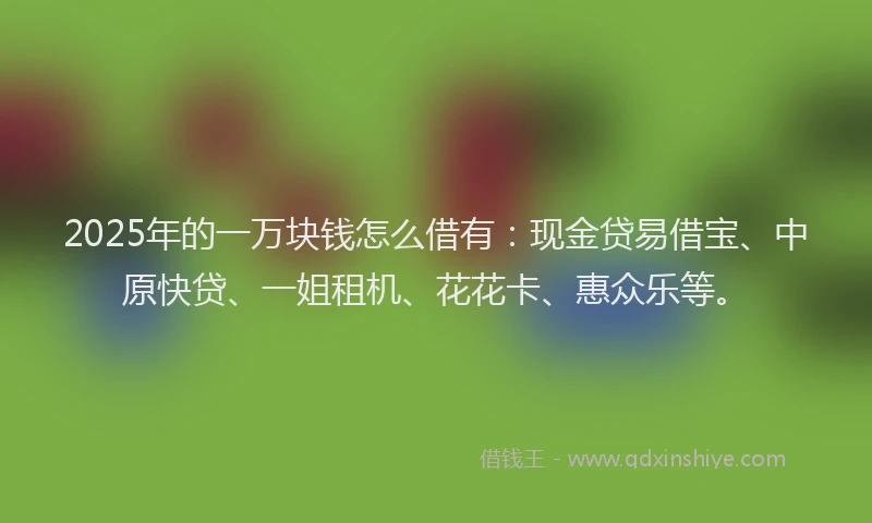 2025年的一万块钱怎么借有：现金贷易借宝、中原快贷、一姐租机、花花卡、惠众乐等。