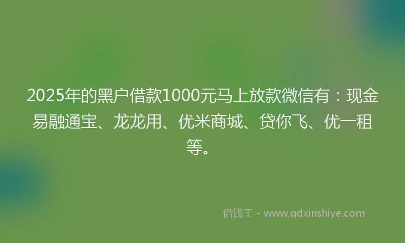2025年的黑户借款1000元马上放款微信有：现金易融通宝、龙龙用、优米商城、贷你飞、优一租等。