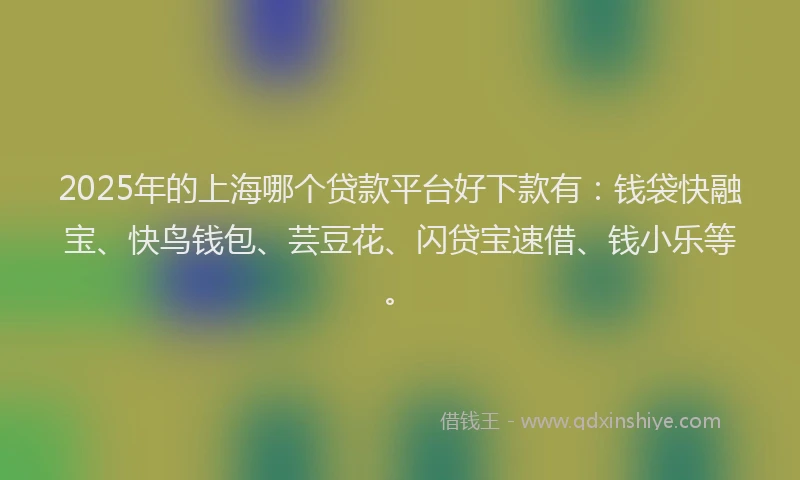 2025年的上海哪个贷款平台好下款有：钱袋快融宝、快鸟钱包、芸豆花、闪贷宝速借、钱小乐等。