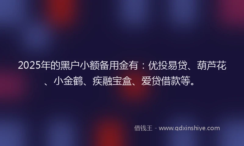 2025年的黑户小额备用金有：优投易贷、葫芦花、小金鹤、疾融宝盒、爱贷借款等。
