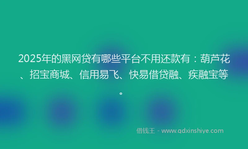 2025年的黑网贷有哪些平台不用还款有：葫芦花、招宝商城、信用易飞、快易借贷融、疾融宝等。