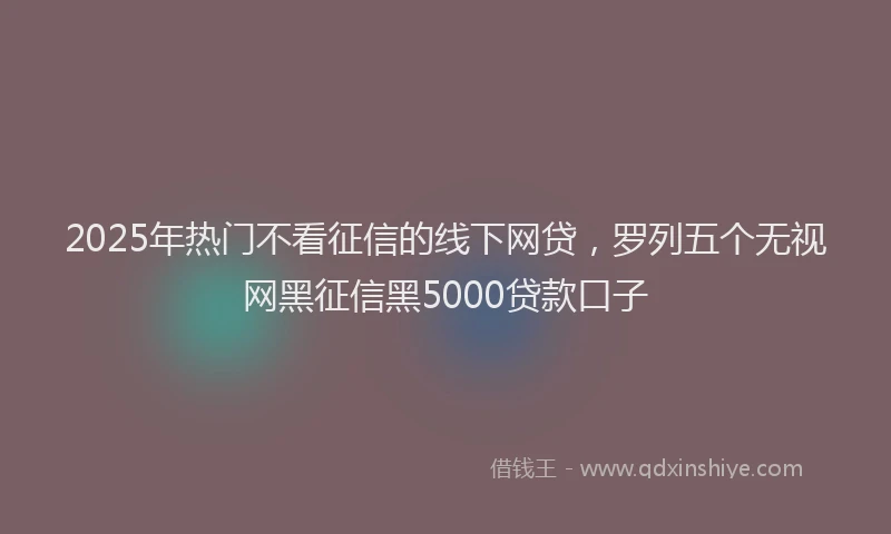 2025年热门不看征信的线下网贷，罗列五个无视网黑征信黑5000贷款口子