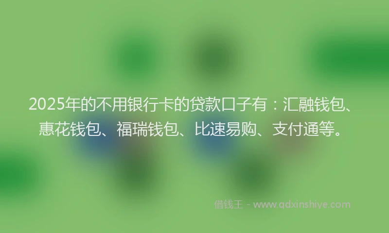 2025年的不用银行卡的贷款口子有：汇融钱包、惠花钱包、福瑞钱包、比速易购、支付通等。