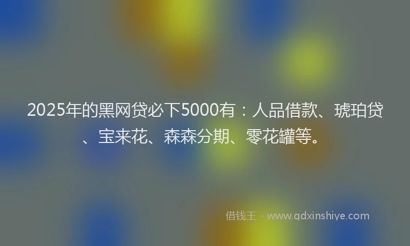 2025年的黑网贷必下5000有：人品借款、琥珀贷、宝来花、森森分期、零花罐等。
