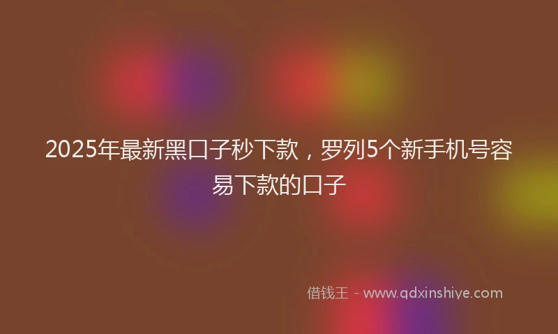 2025年最新黑口子秒下款，罗列5个新手机号容易下款的口子