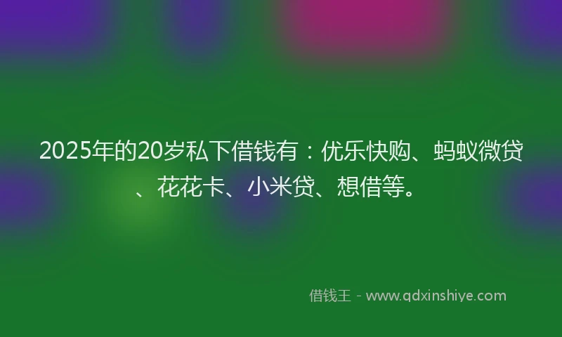 2025年的20岁私下借钱有：优乐快购、蚂蚁微贷、花花卡、小米贷、想借等。