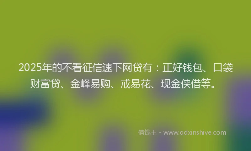 2025年的不看征信速下网贷有：正好钱包、口袋财富贷、金峰易购、戒易花、现金侠借等。