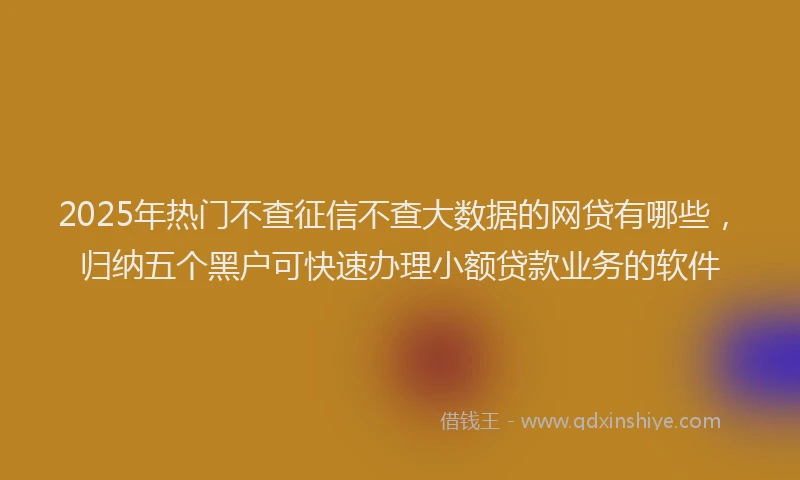 2025年热门不查征信不查大数据的网贷有哪些，归纳五个黑户可快速办理小额贷款业务的软件
