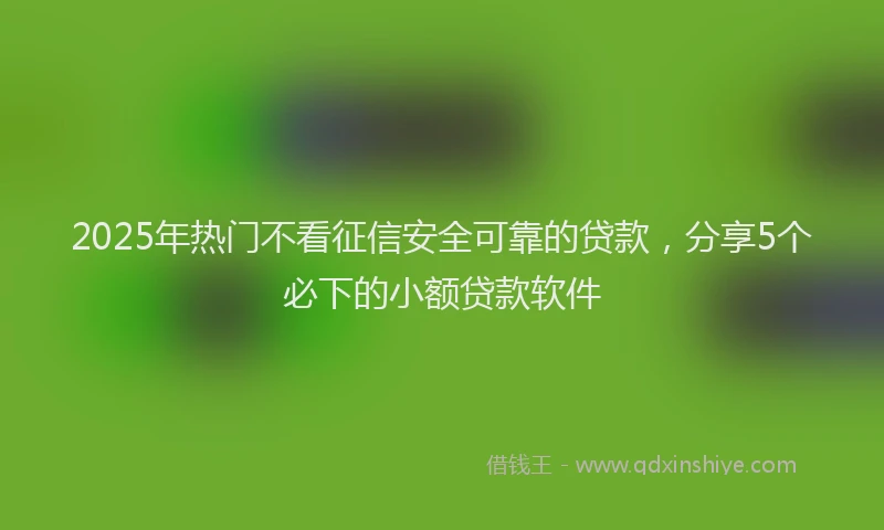 2025年热门不看征信安全可靠的贷款，分享5个必下的小额贷款软件