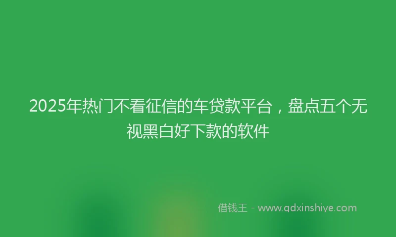 2025年热门不看征信的车贷款平台，盘点五个无视黑白好下款的软件
