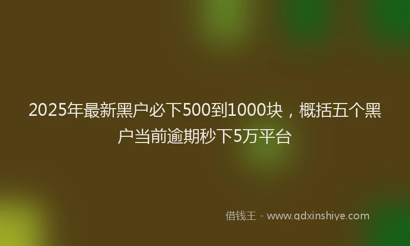2025年最新黑户必下500到1000块，概括五个黑户当前逾期秒下5万平台