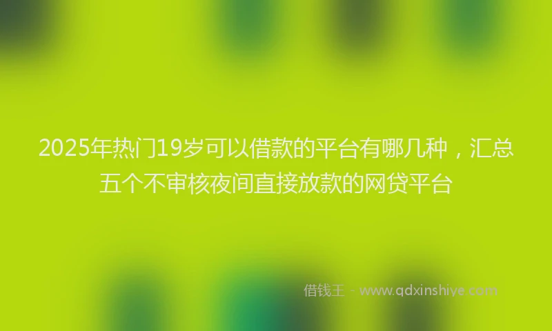 2025年热门19岁可以借款的平台有哪几种，汇总五个不审核夜间直接放款的网贷平台