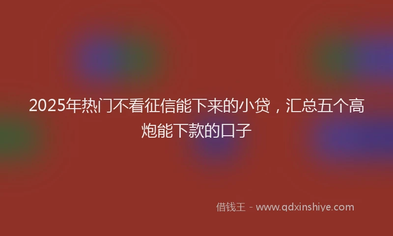 2025年热门不看征信能下来的小贷，汇总五个高炮能下款的口子