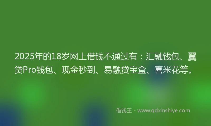 2025年的18岁网上借钱不通过有：汇融钱包、翼贷Pro钱包、现金秒到、易融贷宝盒、喜米花等。