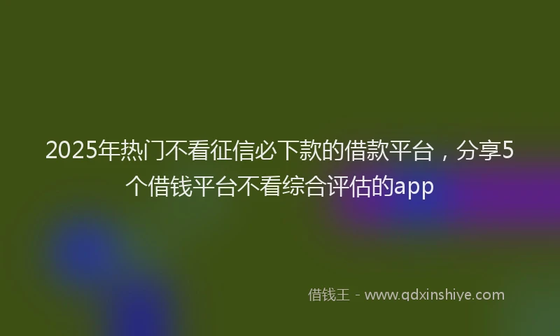 2025年热门不看征信必下款的借款平台，分享5个借钱平台不看综合评估的app