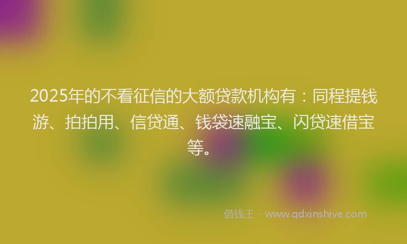 2025年的不看征信的大额贷款机构有：同程提钱游、拍拍用、信贷通、钱袋速融宝、闪贷速借宝等。