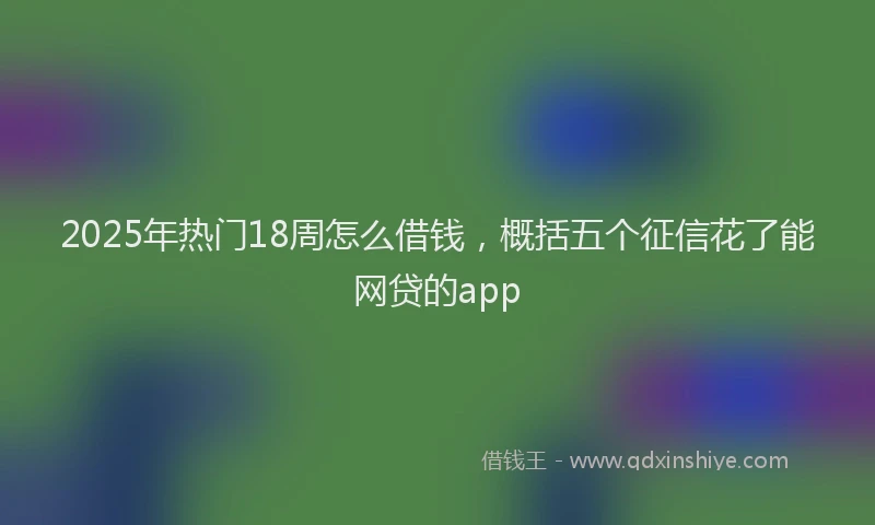 2025年热门18周怎么借钱，概括五个征信花了能网贷的app