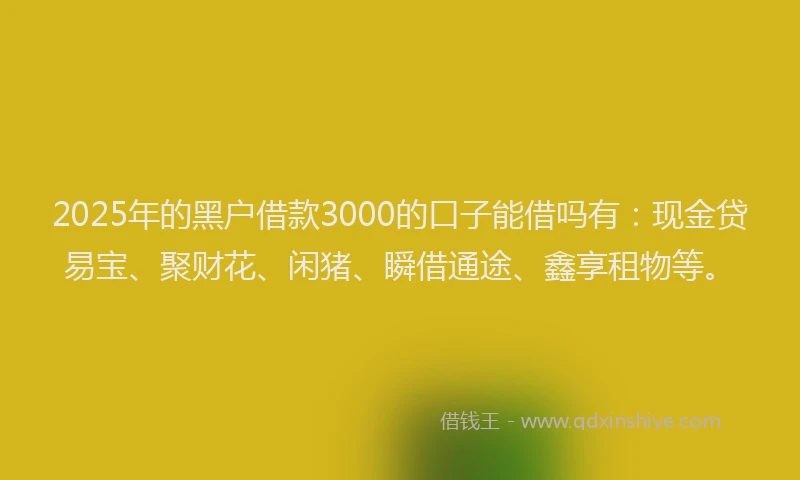 2025年的黑户借款3000的口子能借吗有：现金贷易宝、聚财花、闲猪、瞬借通途、鑫享租物等。