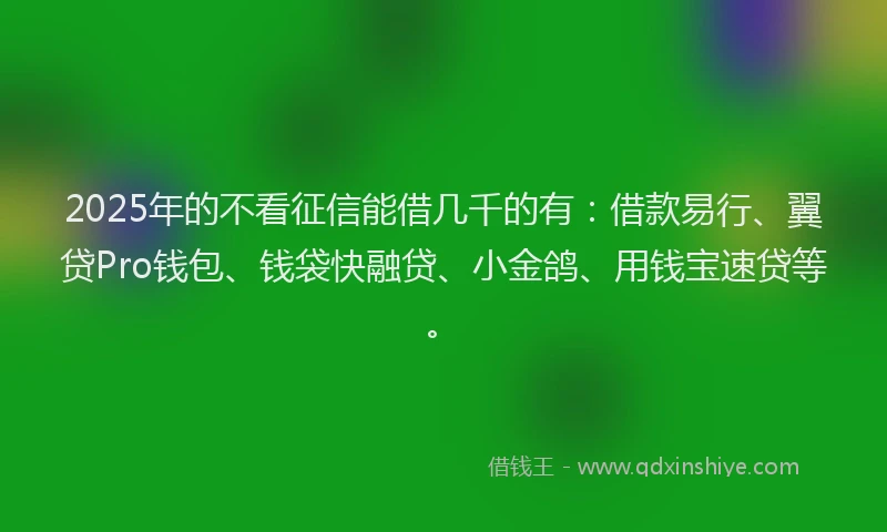 2025年的不看征信能借几千的有：借款易行、翼贷Pro钱包、钱袋快融贷、小金鸽、用钱宝速贷等。