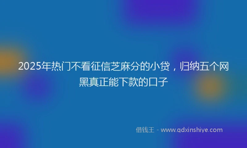 2025年热门不看征信芝麻分的小贷，归纳五个网黑真正能下款的口子