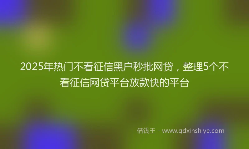 2025年热门不看征信黑户秒批网贷，整理5个不看征信网贷平台放款快的平台