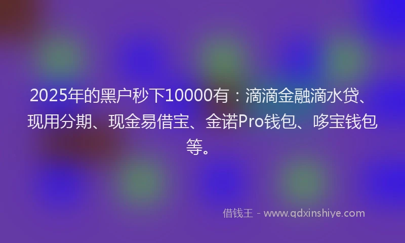 2025年的黑户秒下10000有：滴滴金融滴水贷、现用分期、现金易借宝、金诺Pro钱包、哆宝钱包等。