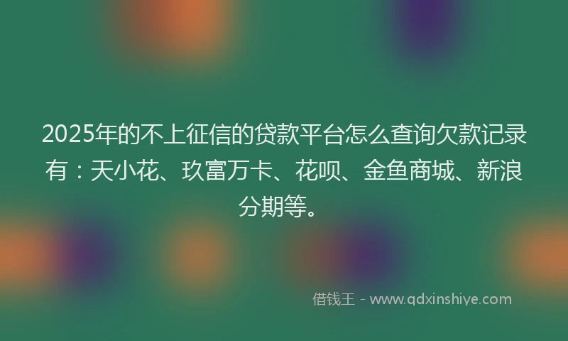 2025年的不上征信的贷款平台怎么查询欠款记录有：天小花、玖富万卡、花呗、金鱼商城、新浪分期等。