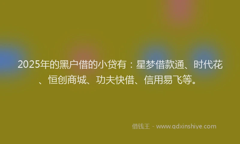 2025年的黑户借的小贷有：星梦借款通、时代花、恒创商城、功夫快借、信用易飞等。