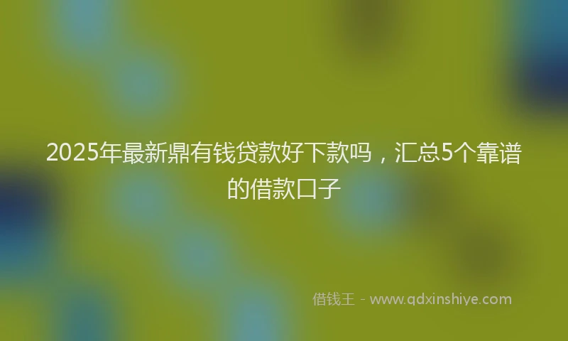 2025年最新鼎有钱贷款好下款吗，汇总5个靠谱的借款口子