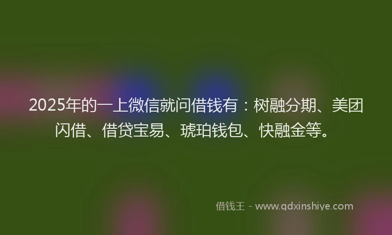 2025年的一上微信就问借钱有：树融分期、美团闪借、借贷宝易、琥珀钱包、快融金等。