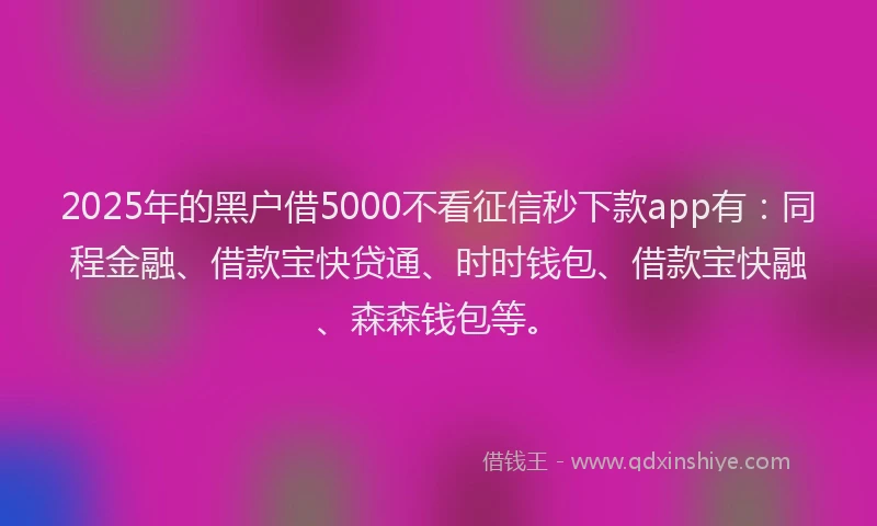 2025年的黑户借5000不看征信秒下款app有：同程金融、借款宝快贷通、时时钱包、借款宝快融、森森钱包等。