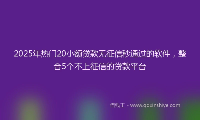 2025年热门20小额贷款无征信秒通过的软件，整合5个不上征信的贷款平台