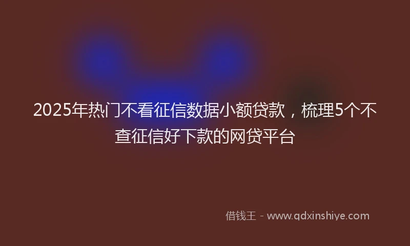 2025年热门不看征信数据小额贷款，梳理5个不查征信好下款的网贷平台