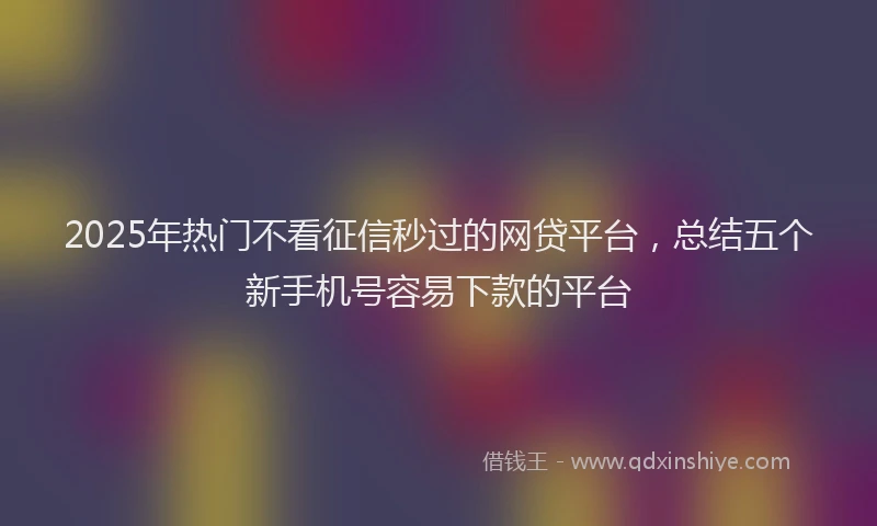 2025年热门不看征信秒过的网贷平台，总结五个新手机号容易下款的平台