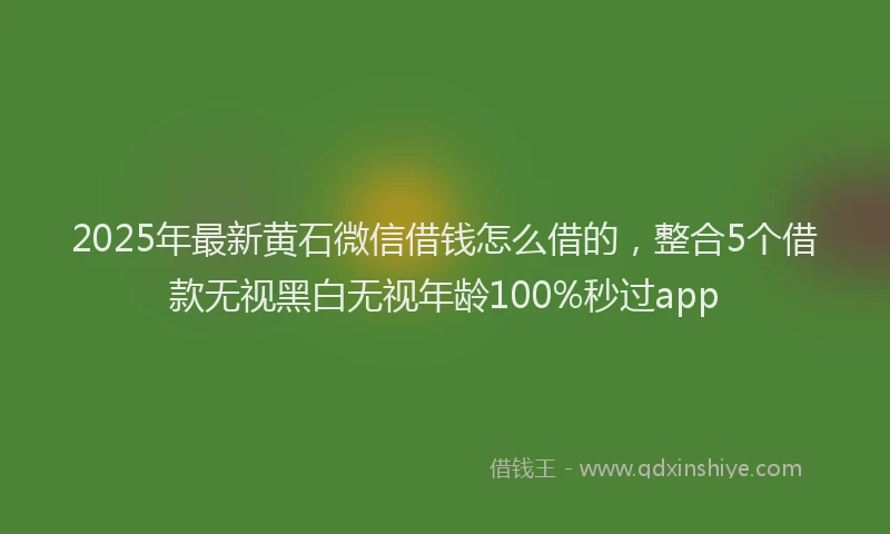 2025年最新黄石微信借钱怎么借的，整合5个借款无视黑白无视年龄100%秒过app