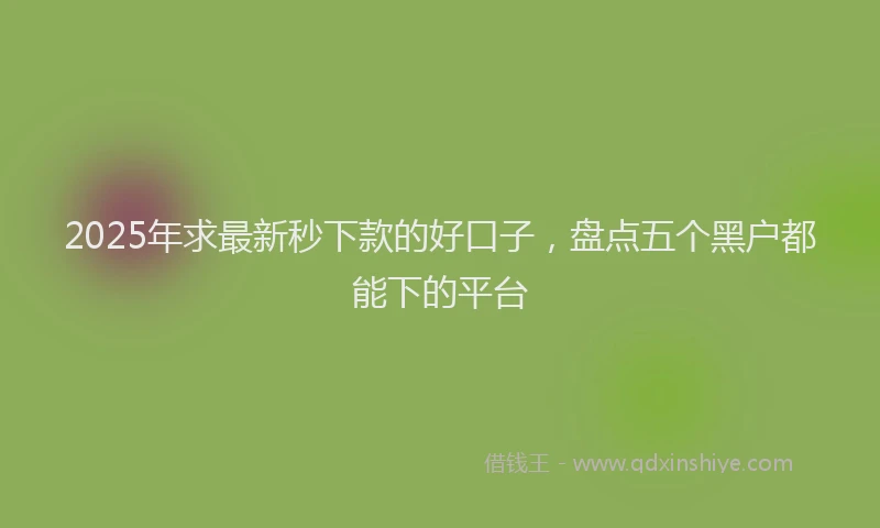 2025年求最新秒下款的好口子，盘点五个黑户都能下的平台