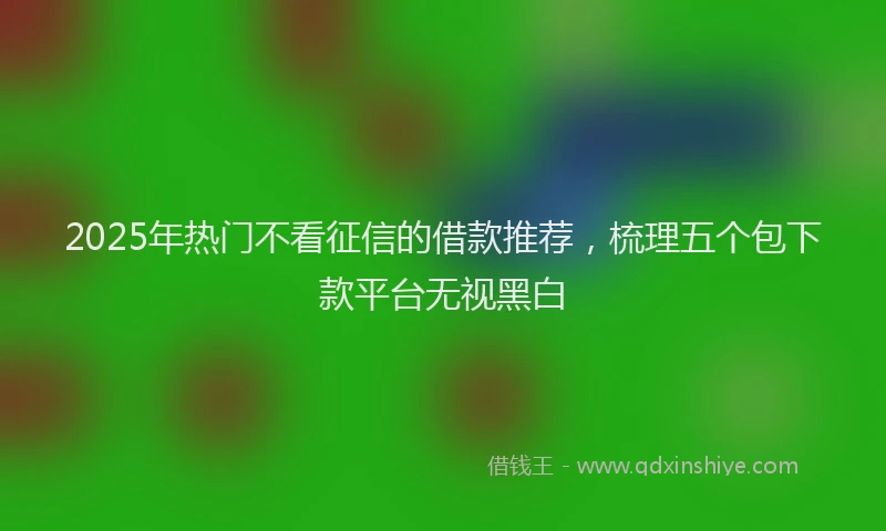 2025年热门不看征信的借款推荐，梳理五个包下款平台无视黑白