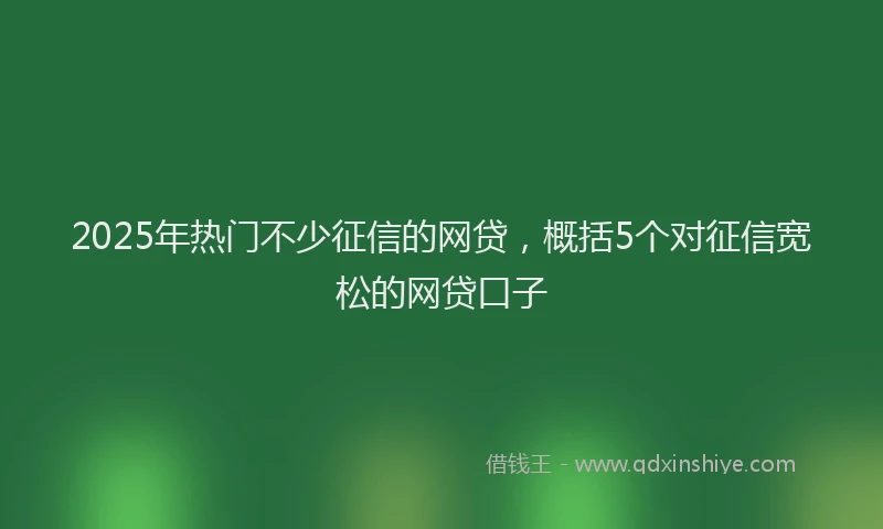 2025年热门不少征信的网贷，概括5个对征信宽松的网贷口子
