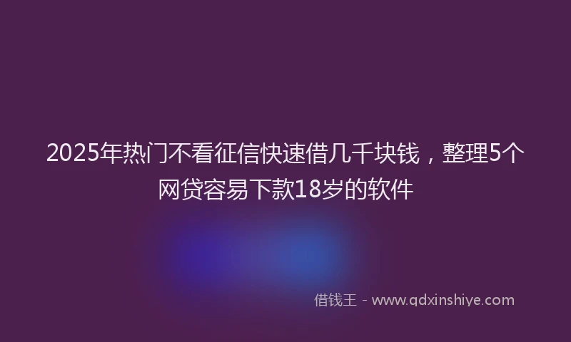 2025年热门不看征信快速借几千块钱，整理5个网贷容易下款18岁的软件