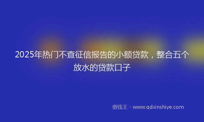 2025年热门不查征信报告的小额贷款，整合五个放水的贷款口子