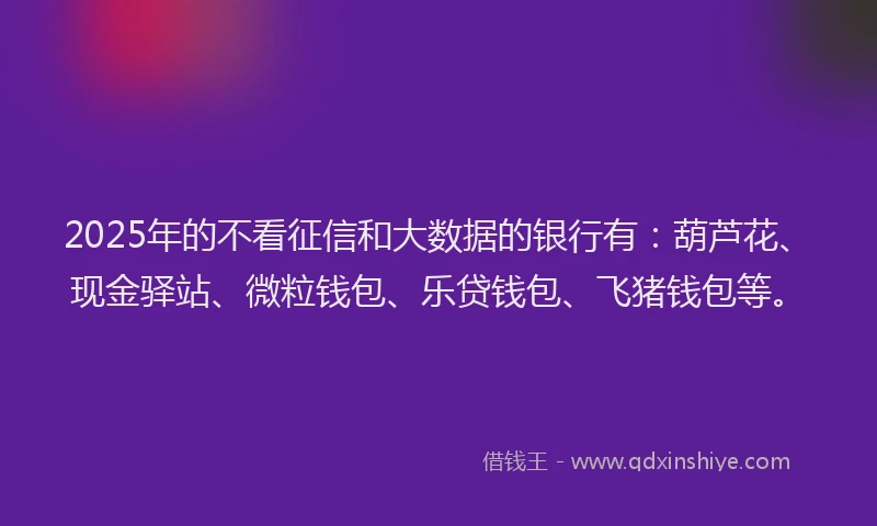 2025年的不看征信和大数据的银行有：葫芦花、现金驿站、微粒钱包、乐贷钱包、飞猪钱包等。